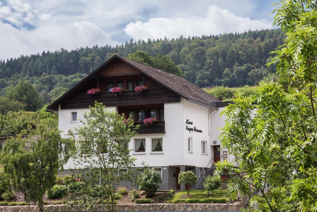 Haus Kesper-Brunen Hotel Willingen  Bagian luar foto