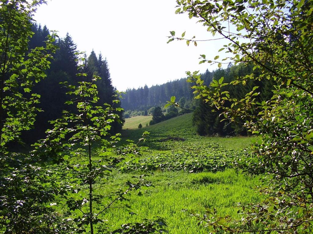 Haus Kesper-Brunen Hotel Willingen  Bagian luar foto